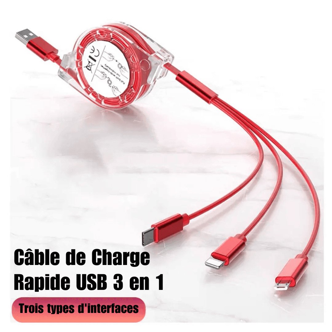 Câble de Charge Rapide USB 3 en 1 - Velloris