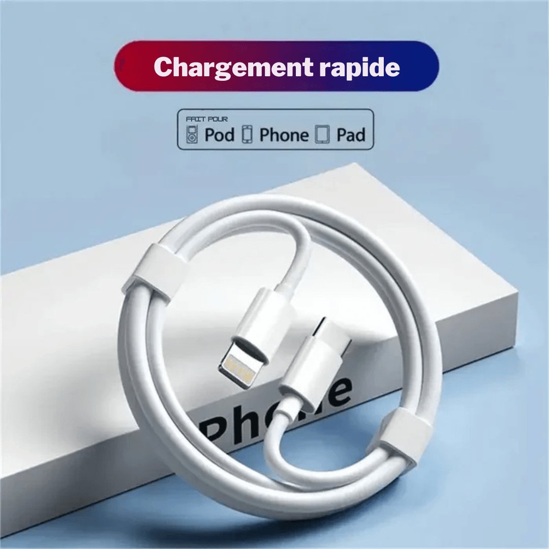 Câble de Charge Rapide 20W PD pour iPhone et iPad - Velloris